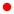 Japani